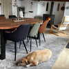 "Meubelasia: De Ultieme Oplossing voor Expat Woninginrichting in Nederland"